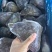 品名：500/700鲽鱼头规格：一件30斤，25/26
