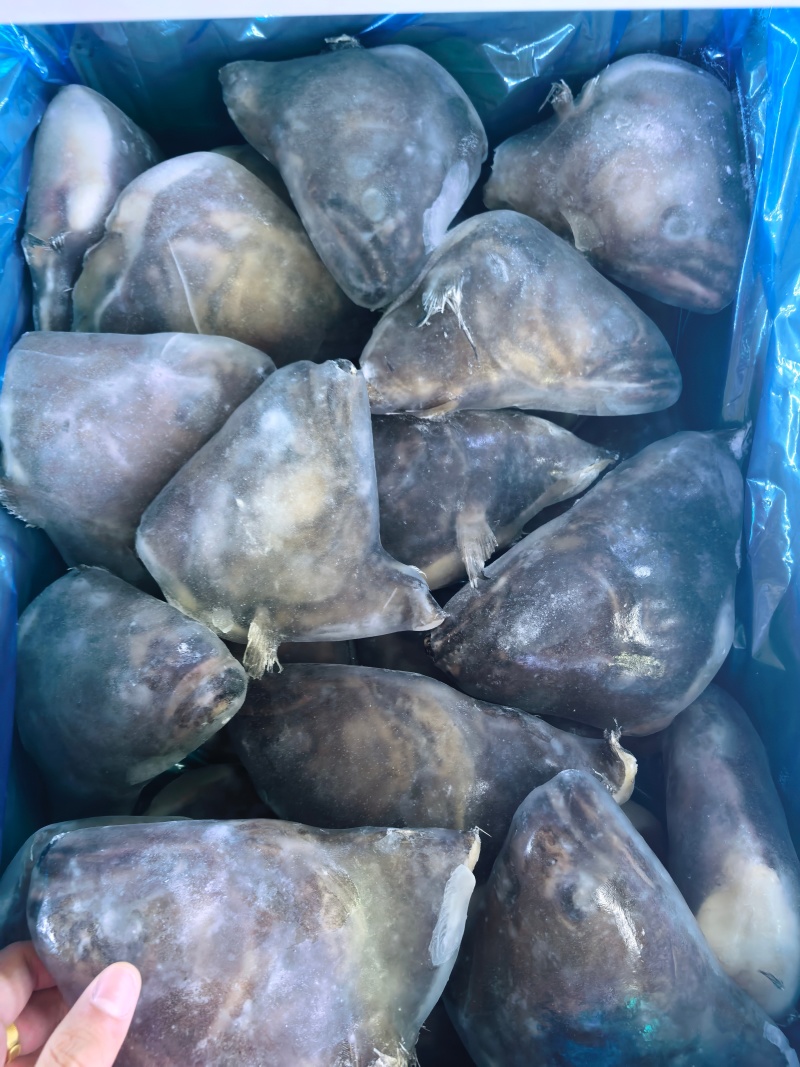 品名：500/700鲽鱼头规格：一件30斤，25/26