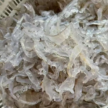 精品海蜇丝渤海湾海蜇丝货源充足价格实惠欢迎联系订