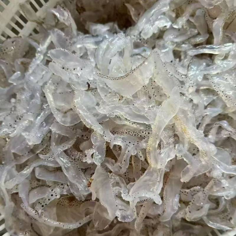 精品海蜇丝渤海湾海蜇丝货源充足价格实惠欢迎联系订