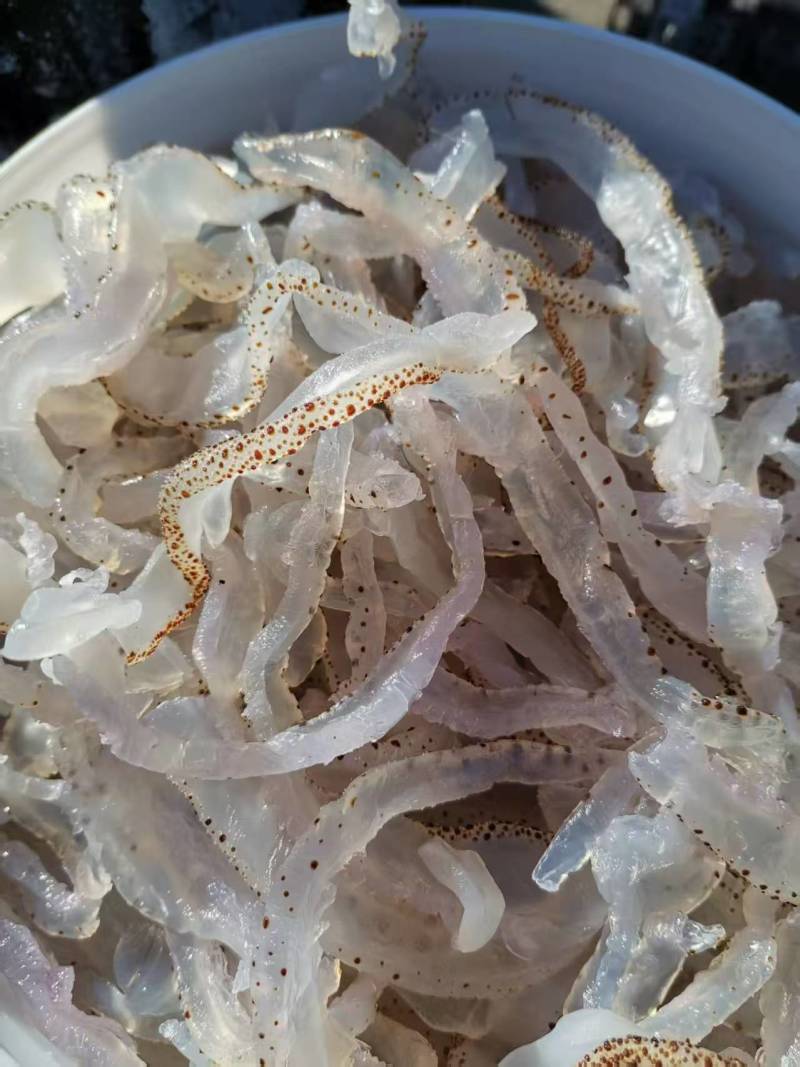 精品海蜇丝渤海湾海蜇丝货源充足价格实惠欢迎联系订