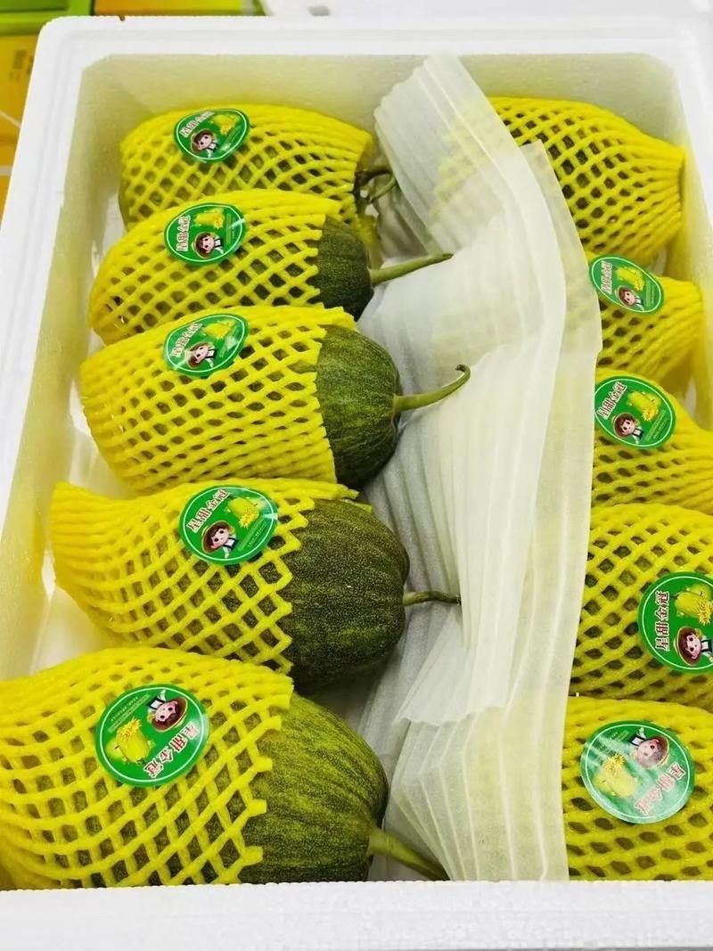 金冠甜瓜代办一件代发商超对接各种平台