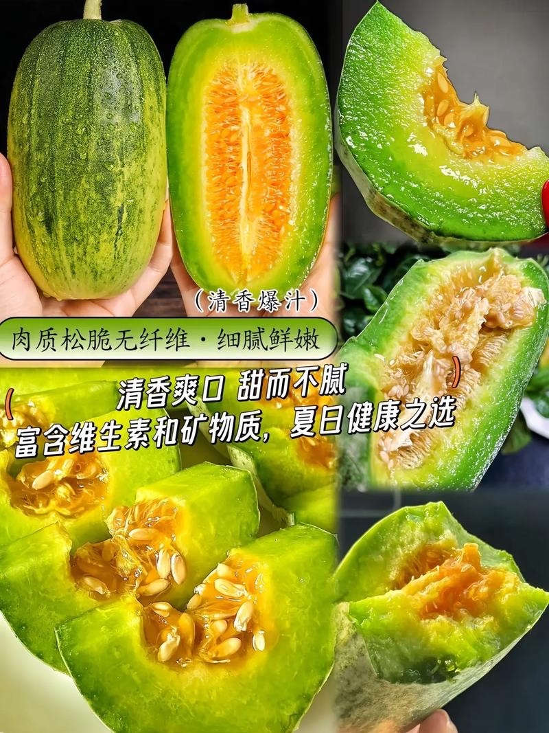 金冠甜瓜代办一件代发商超对接各种平台