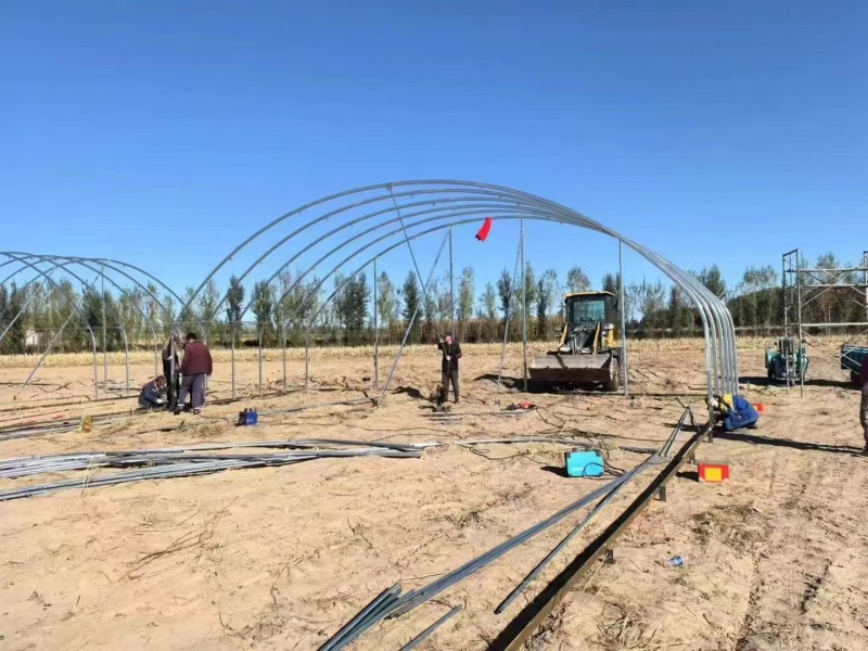 25*50种植棚骨架全国发货一体化工厂厚度尺寸定尺定做