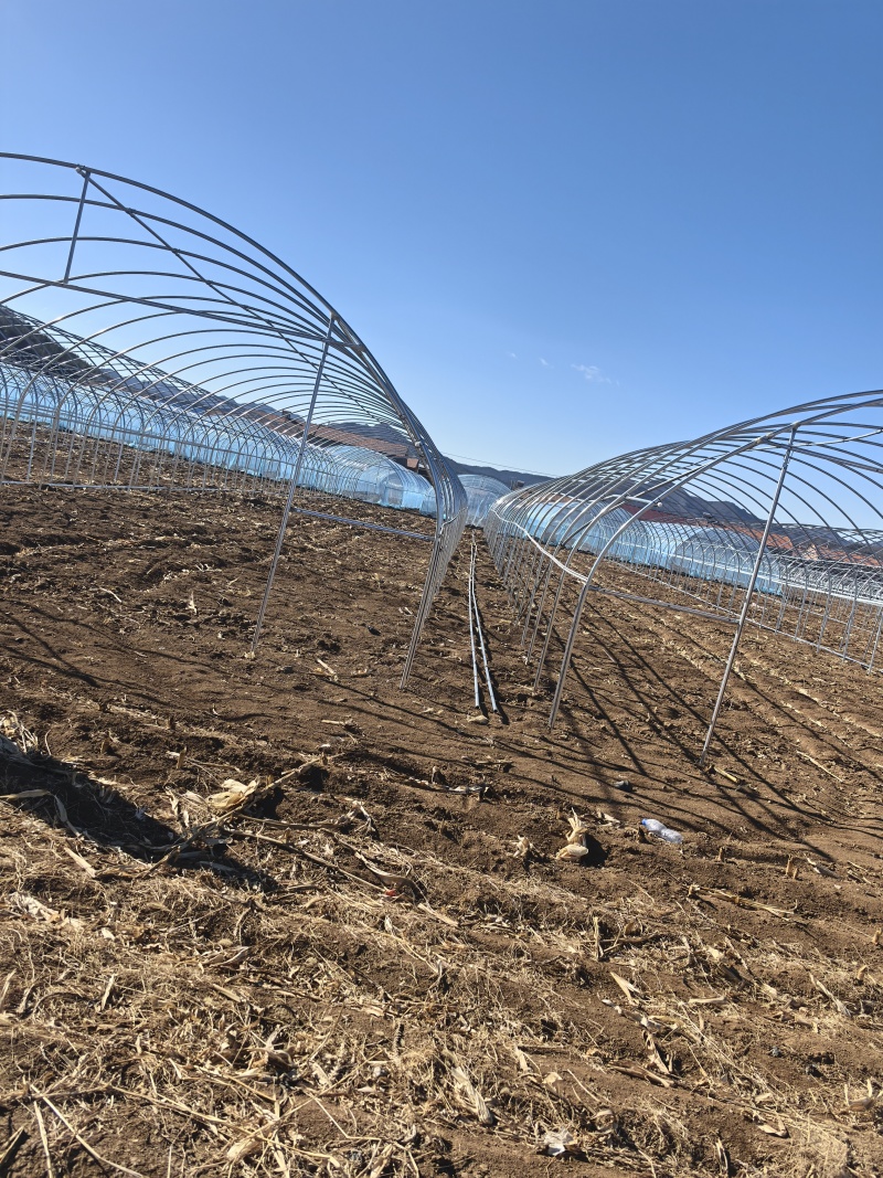 25*50种植棚骨架全国发货一体化工厂厚度尺寸定尺定做