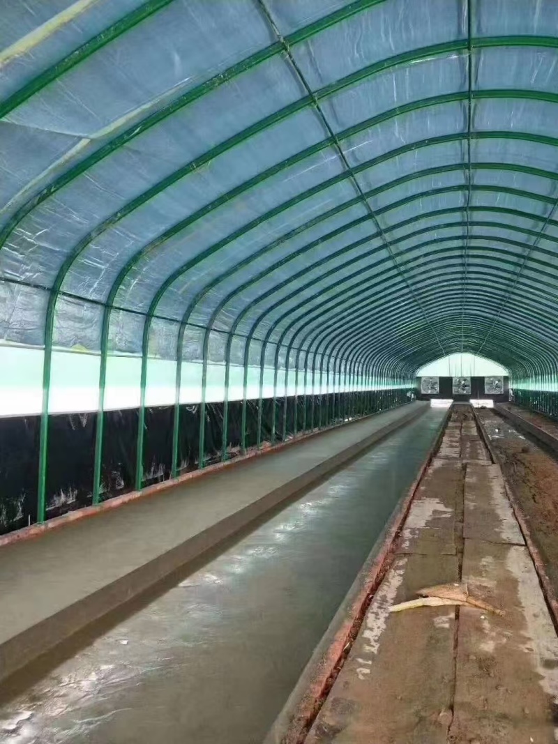 厂家直销大棚主架骨架椭圆管钢管建棚主架长度厚度可定制