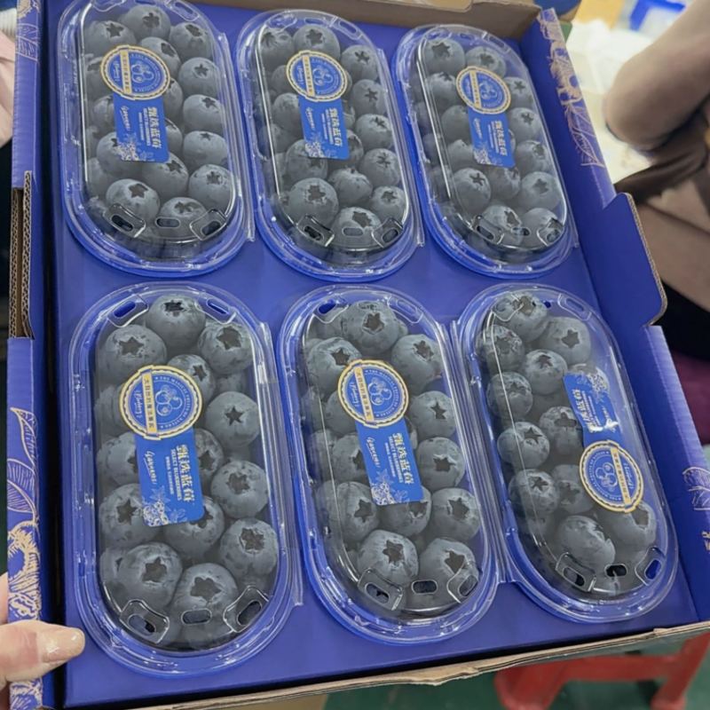 丹东L11六合一产地直发价格美丽欢迎选购