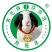 精品白条羊货源充足量大从优质量保证欢迎咨询