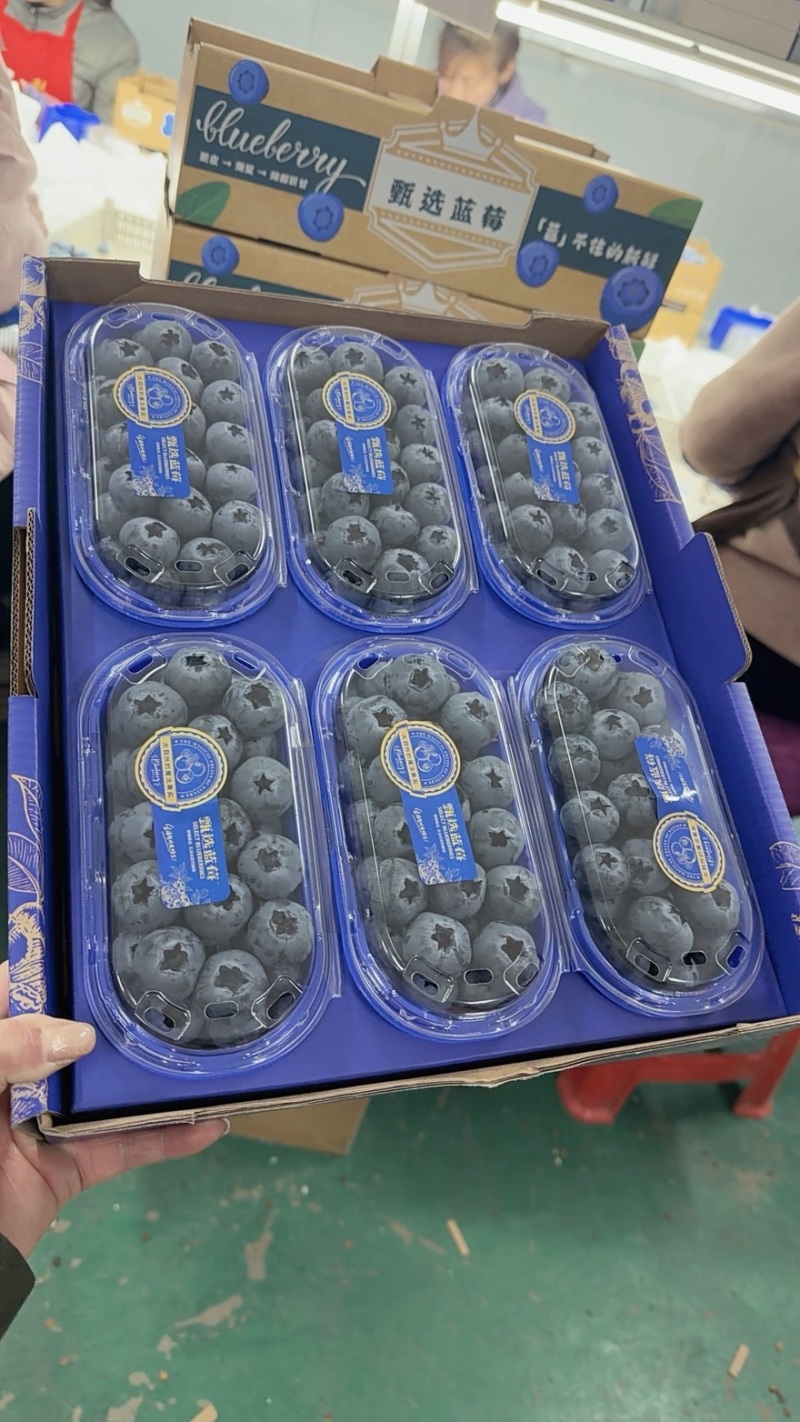 丹东L11六合一产地直发价格美丽欢迎选购