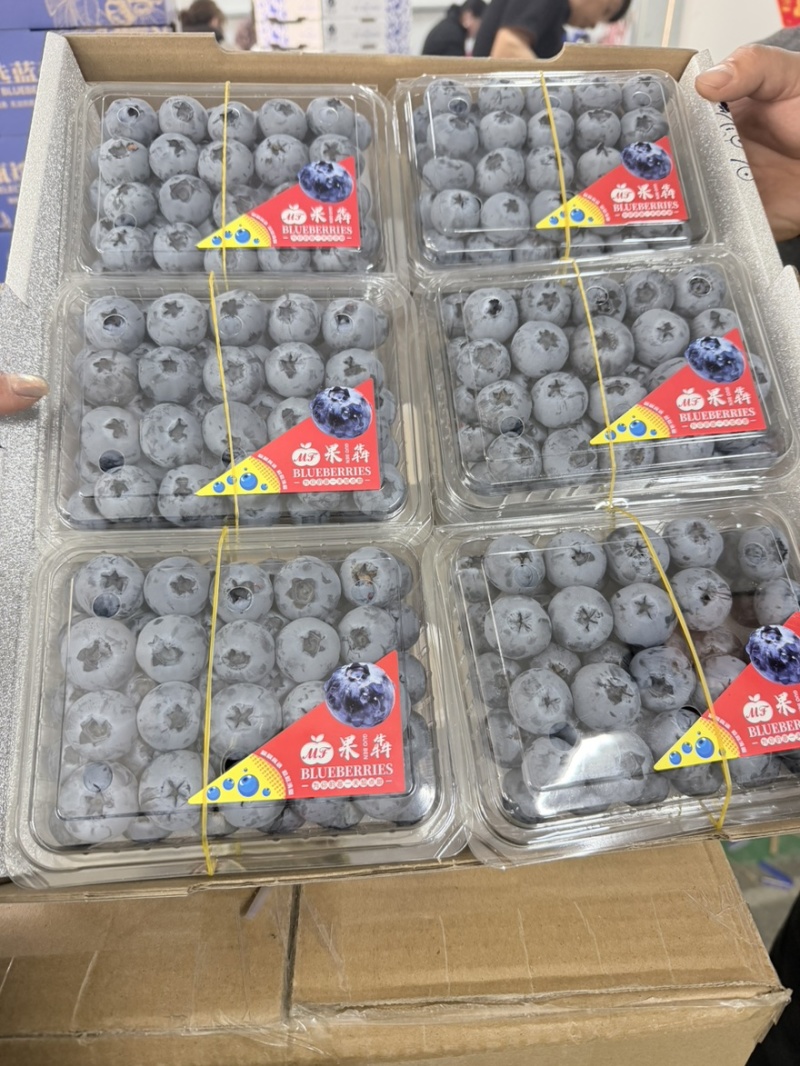 丹东L11六合一产地直发价格美丽欢迎选购
