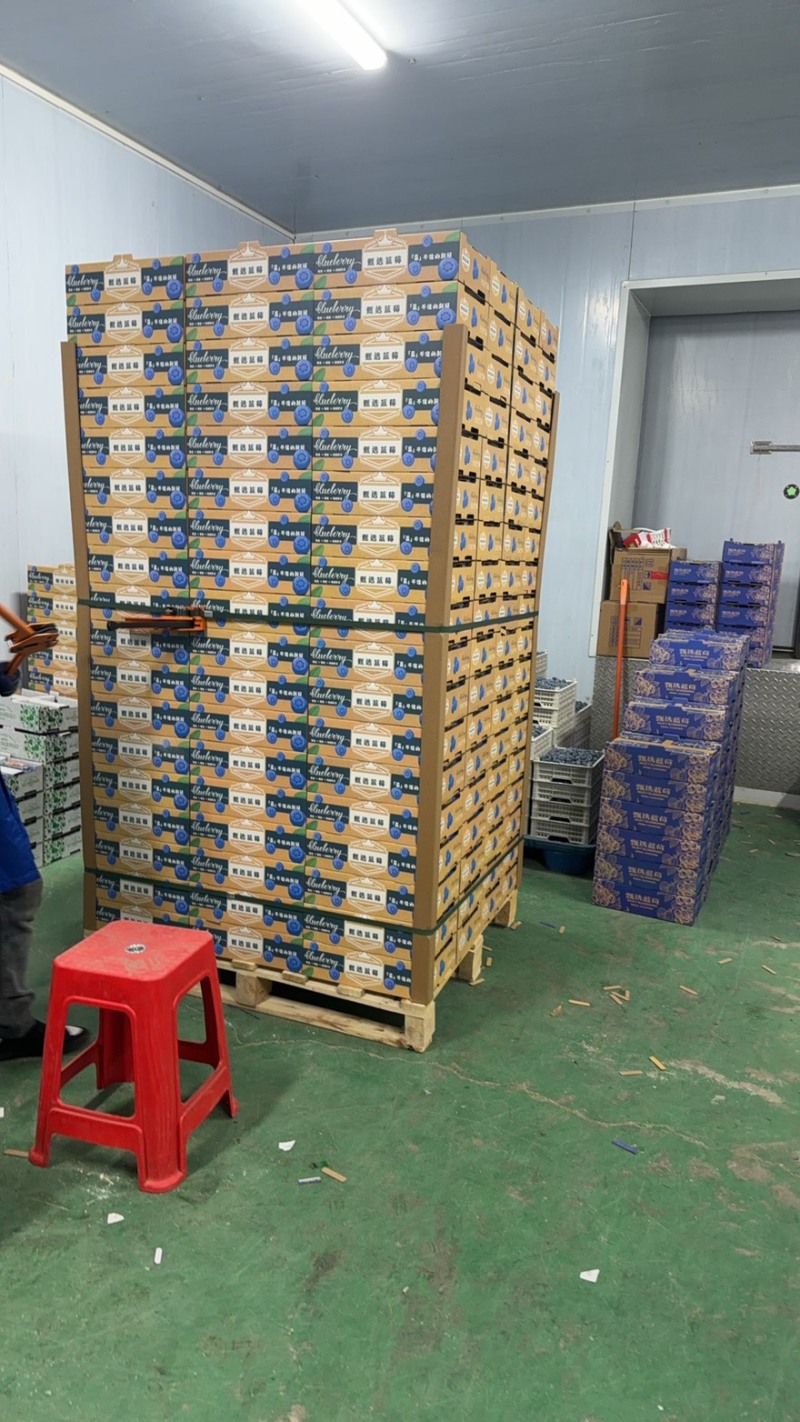 丹东L11六合一产地直发价格美丽欢迎选购