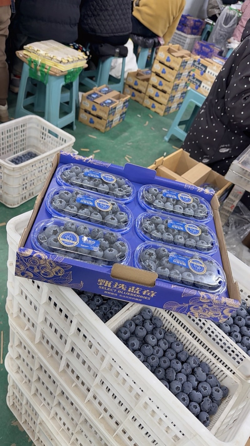丹东L11六合一产地直发价格美丽欢迎选购