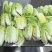 手工水饺源头工厂，货真价实，真材实料，量大价优