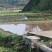土鸡土鸭