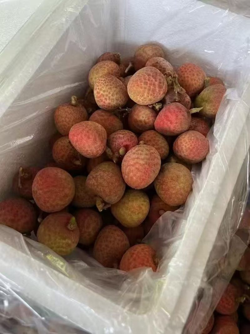 海南荔枝妃子笑批发全国发货