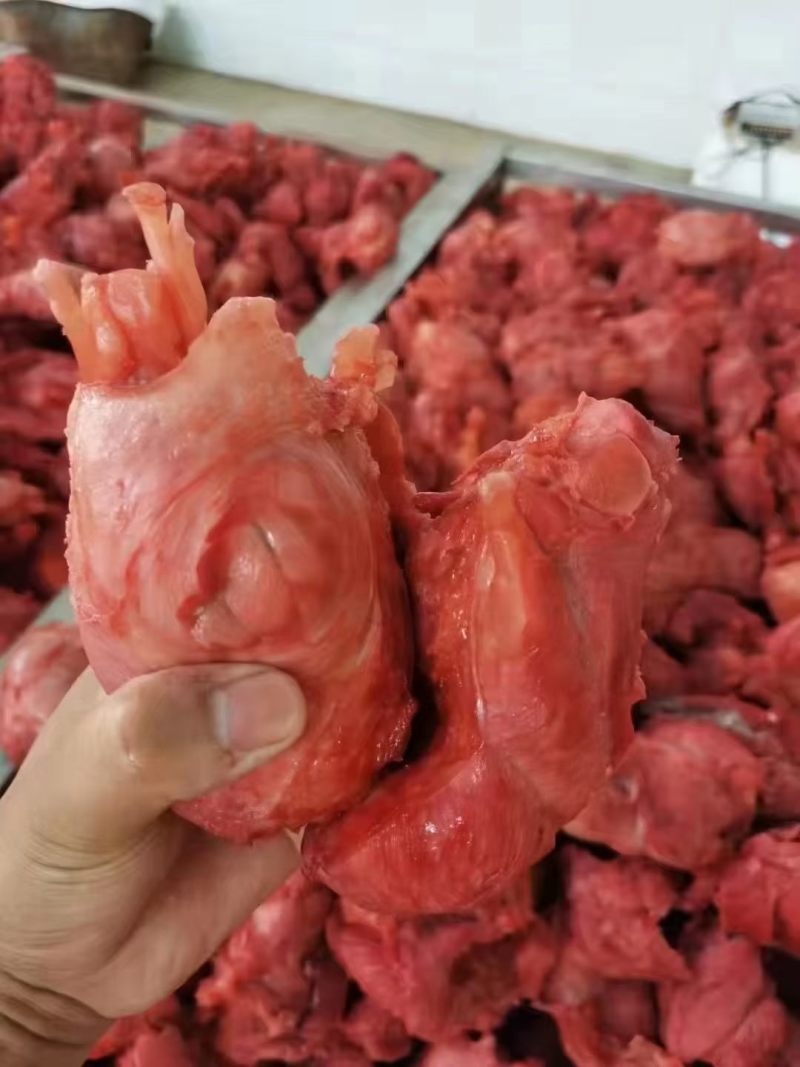 猪龟腱鼠腱前腱后腱条形肉酱香肉卤味熟食地摊厂家