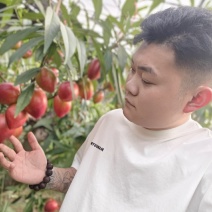 山东聊城万亩油桃产区基地大量现货供应，保质保量，欢迎合作
