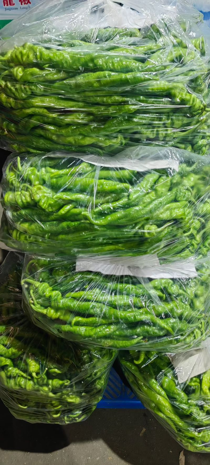 螺丝椒大量上市，面对全国各大小客商，需要电联详谈