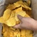 2026芒果干大量有货，欢迎来撩