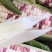 糯玉米，花糯，676大量上市，对接批发市场和电商