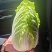娃娃菜