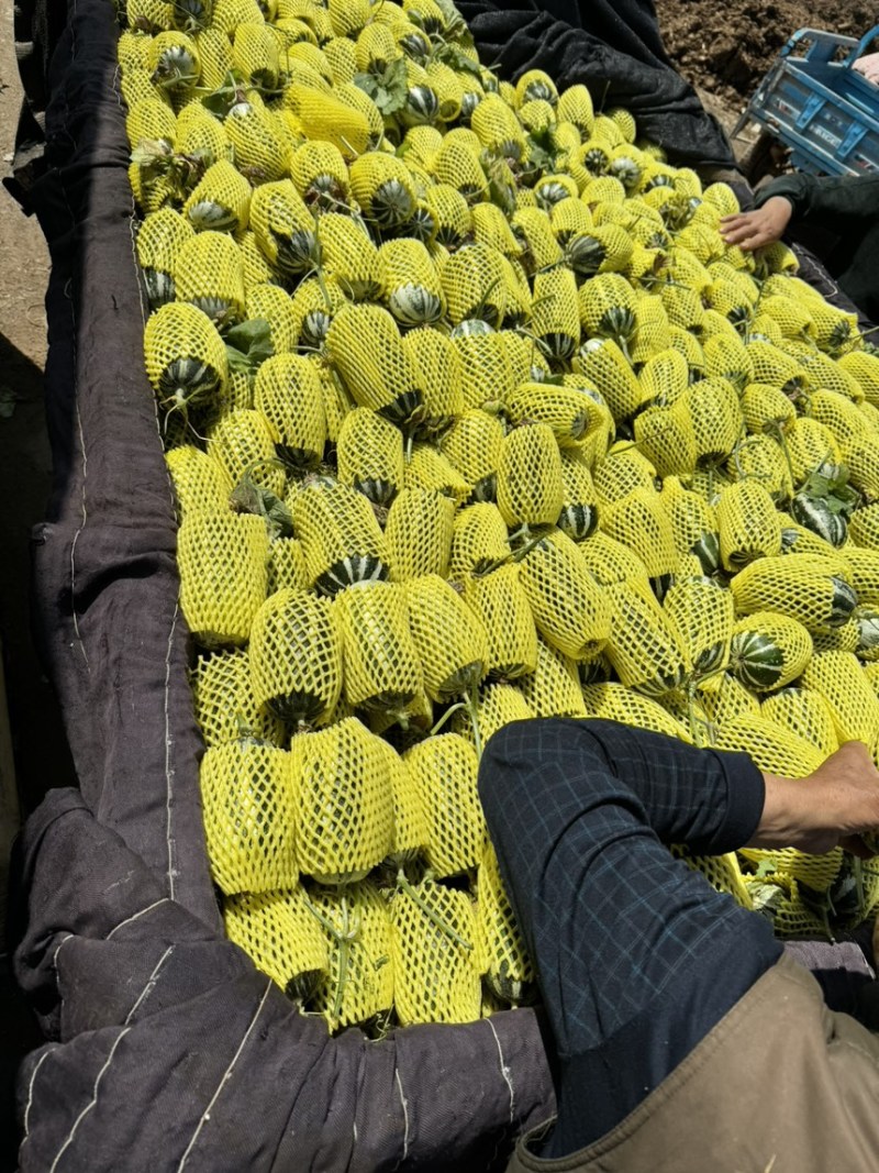 大量博洋9老9️⃣现货供应