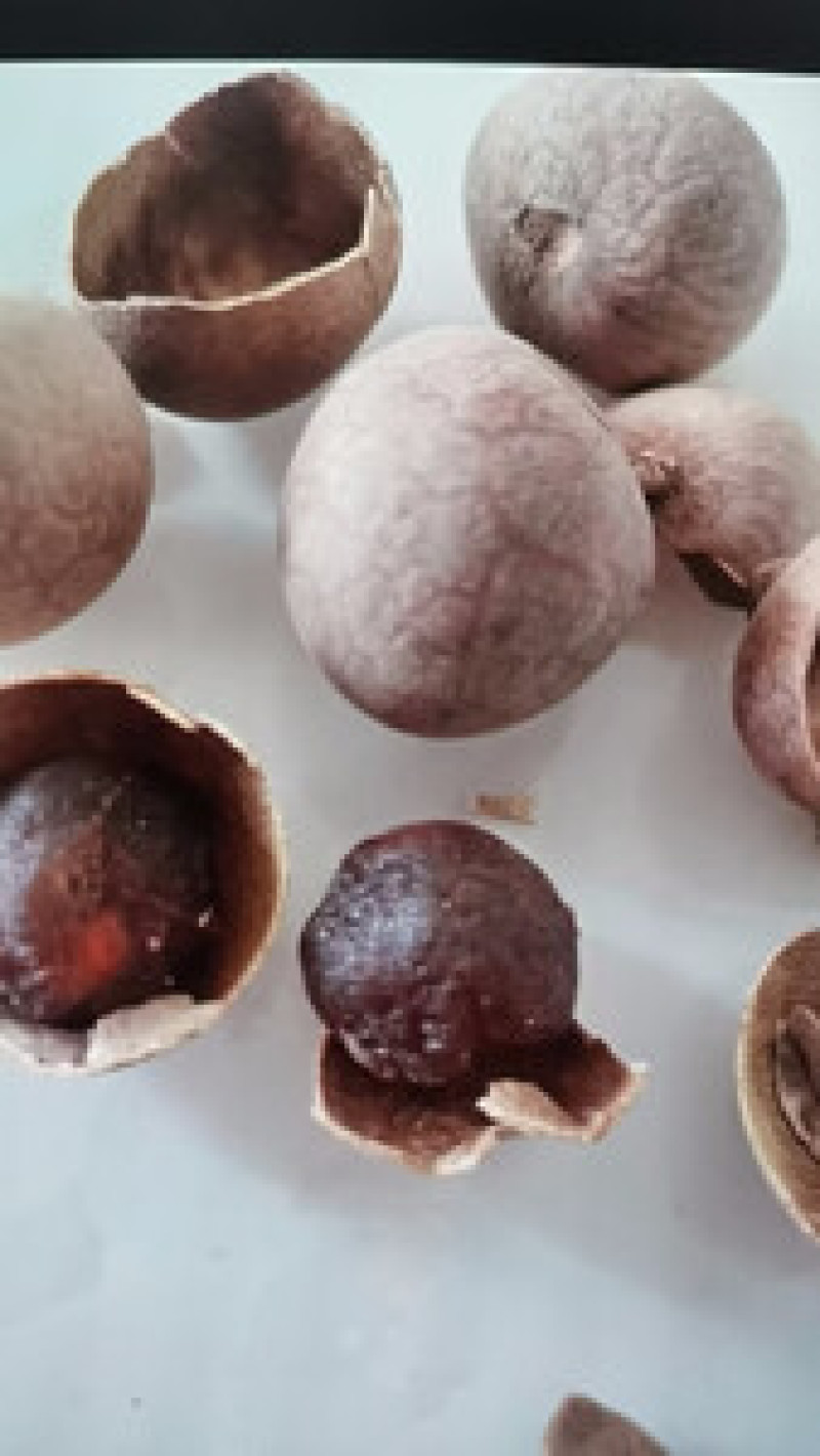 桂圆干颗颗饱满品质保证货源充足常年大量批发