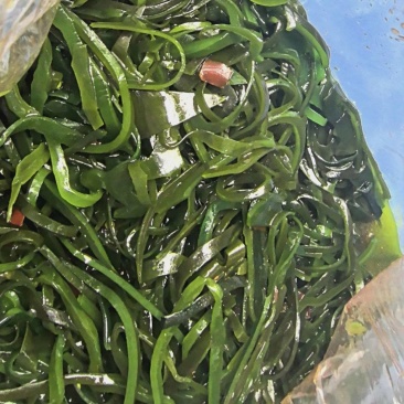 【凉拌海带】香辣海带丝鲜味清丝
