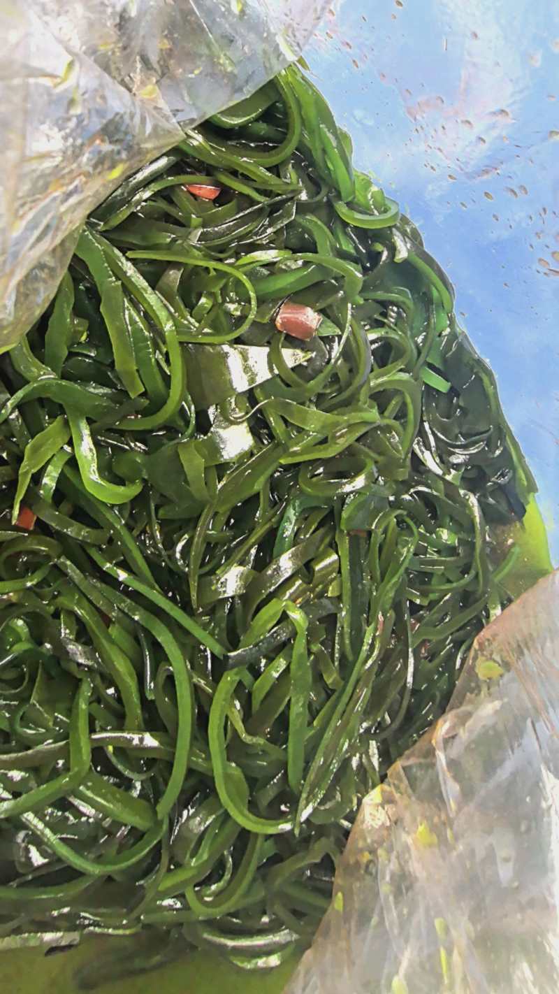 【凉拌海带】香辣海带丝鲜味清丝