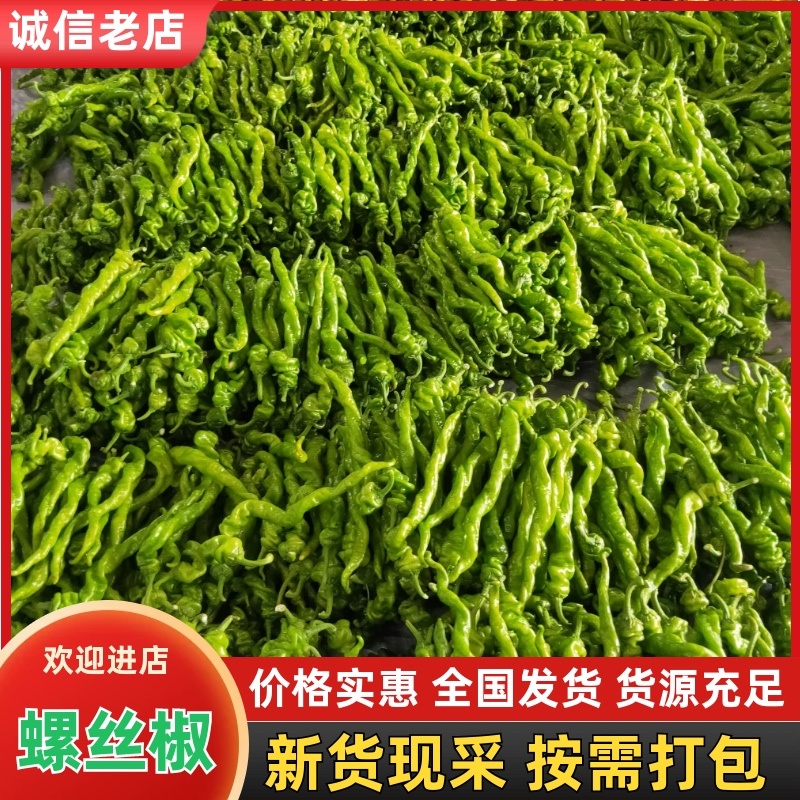 山东青州螺丝椒大量供应品质好价格实惠对接全国欢迎