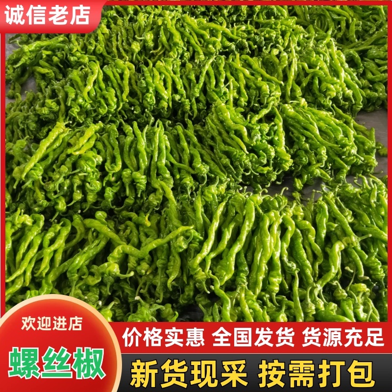 山东青州螺丝椒大量供应品质好价格实惠对接全国欢迎