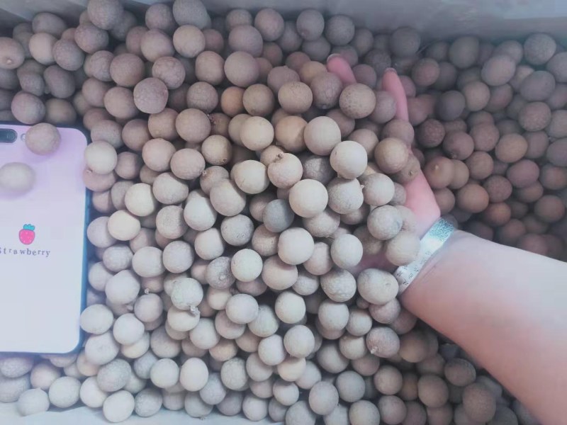 桂圆干带壳桂圆干厂家一手货源欢迎来电咨询选购