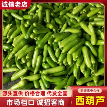 山东西葫芦绿皮西葫芦价格好规格齐全欢迎大家咨询
