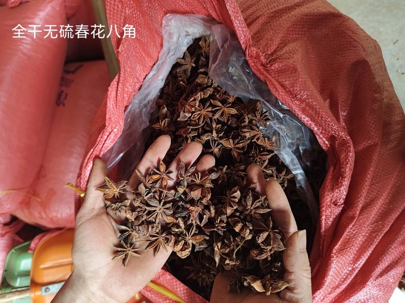 批发全干无硫大红八角干支八角量大价格优势产地直销