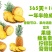 华连香糖水菠萝凤梨罐头广东徐闻菠萝特产中国菠萝之乡