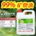 沪联矿物油果树清园专用药红蜘蛛蚧壳虫介壳虫杀虫杀卵杀菌剂