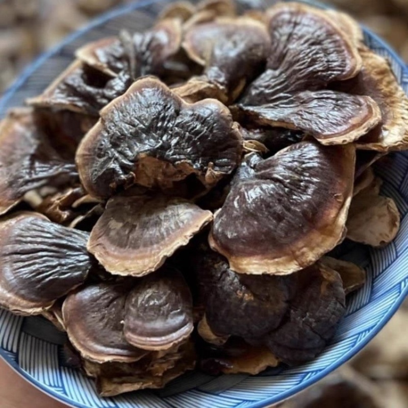 西藏金边灵芝整朵灵芝紫灵芝赤灵芝泡水新品