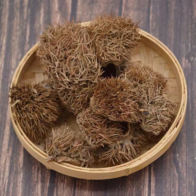 板栗壳中药材板栗刺壳球栗刺壳风栗壳刺粟子刺壳晒干栗子刺