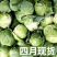 保定产中甘甘蓝4月大量供货20年蔬菜代办圆包菜批发