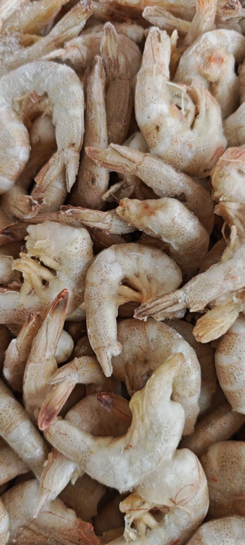 草虾羊毛虾，货源充足，体量大，质优价廉