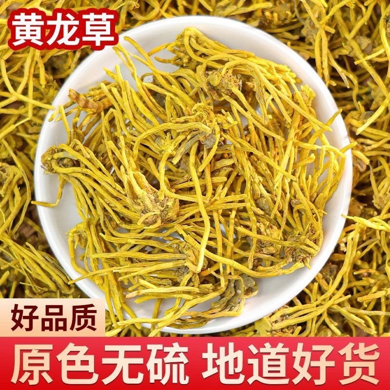 云南正宗雪山黄龙根金龙根黄龙须根中药材龙须石斛