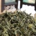 大别山透骨草中药材正品珍珠透骨草新鲜晒干透骨草