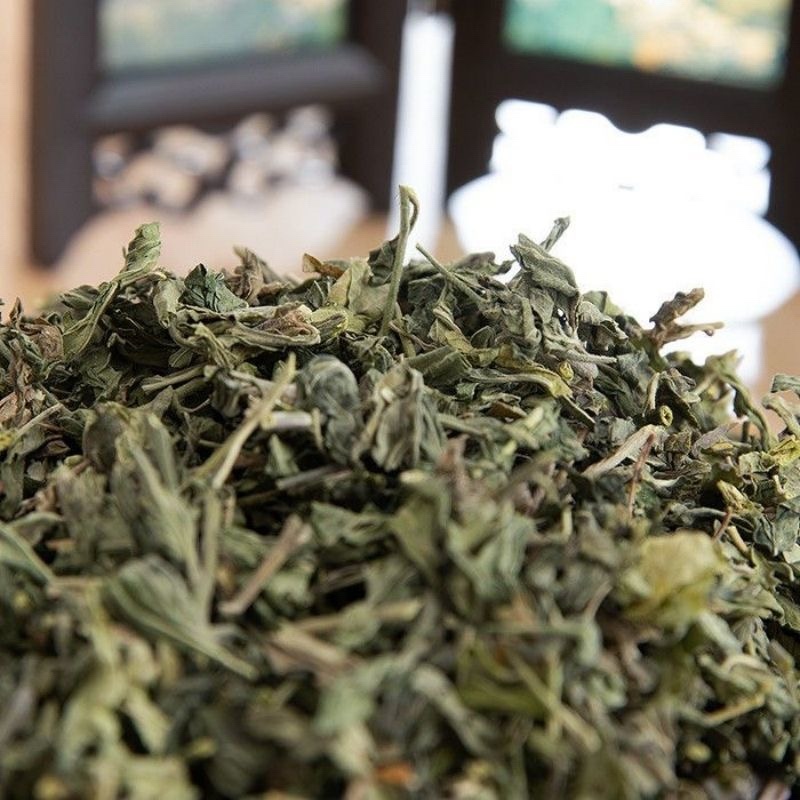 大别山透骨草中药材正品珍珠透骨草新鲜晒干透骨草