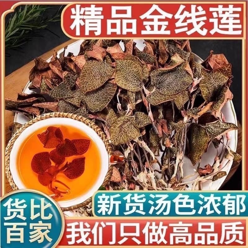 金线莲正宗金钱莲福建产地金线莲中药材新鲜干品养生茶