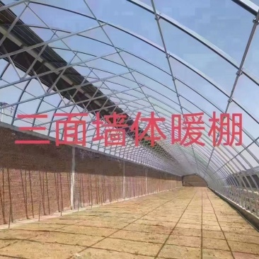 天津养殖大棚/联栋大棚/冷棚暖棚/可定尺定做欢迎联系