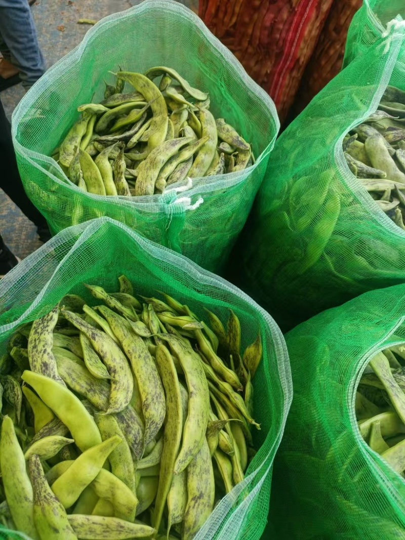 精品油豆，大量上市，价格美丽，口感丰富，营养健康