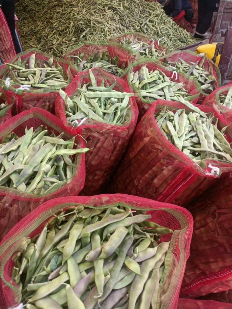 精品油豆，大量上市，价格美丽，口感丰富，营养健康