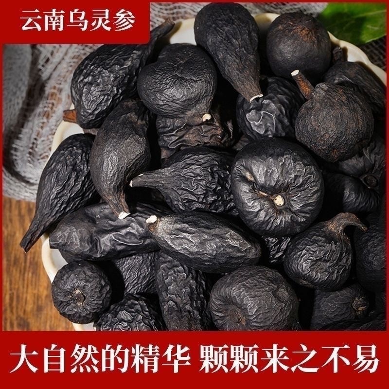云南正品乌灵参干货雷震子鸡切片金钟正宗乌苓中药材枞蛋菌胆