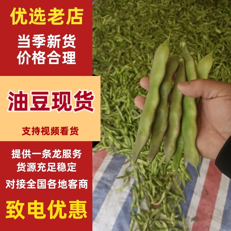 精品油豆，大量上市，价格美丽，口感丰富，营养健康