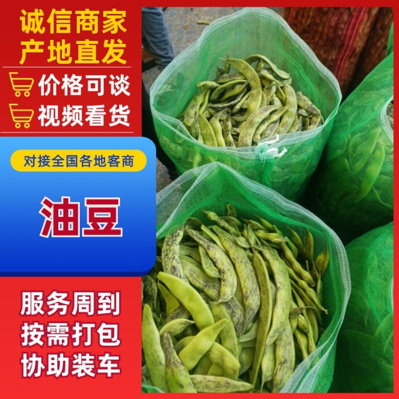 精品油豆，大量上市，价格美丽，口感丰富，营养健康